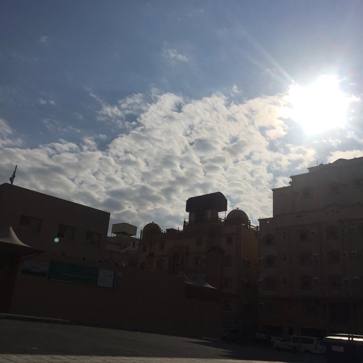 مشاركاتي في أنت الراصد