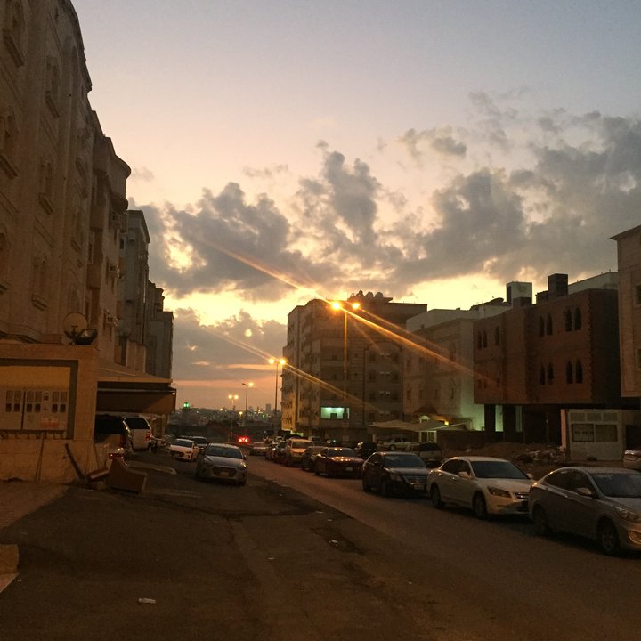 مشاركاتي في أنت الراصد