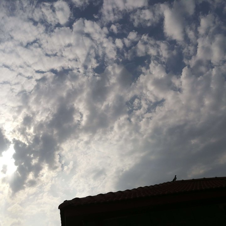 My Crowdsourcing Posts