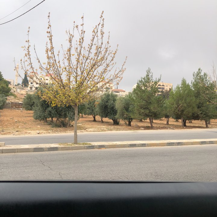 My Crowdsourcing Posts