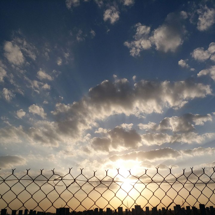 مشاركاتي في أنت الراصد