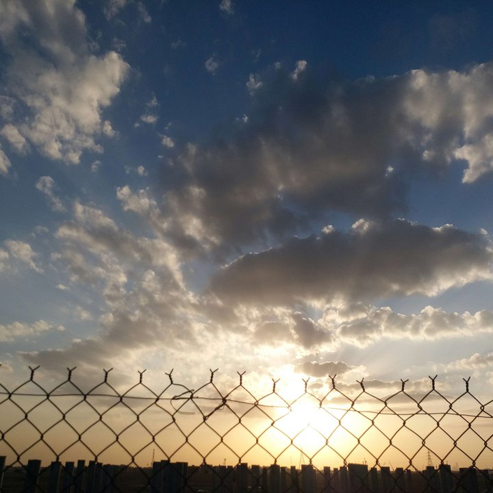 مشاركاتي في أنت الراصد