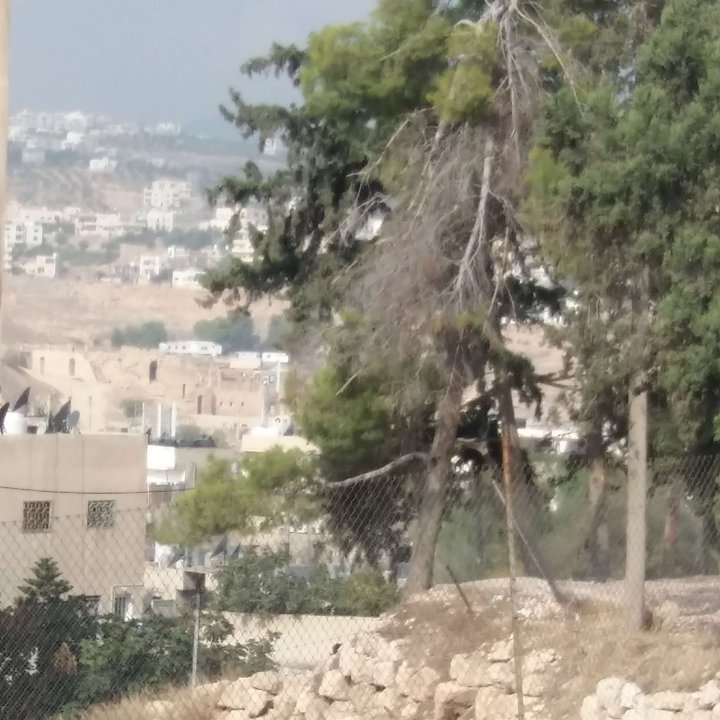 My Crowdsourcing Posts