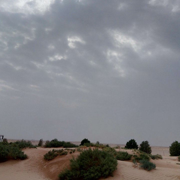 My Crowdsourcing Posts