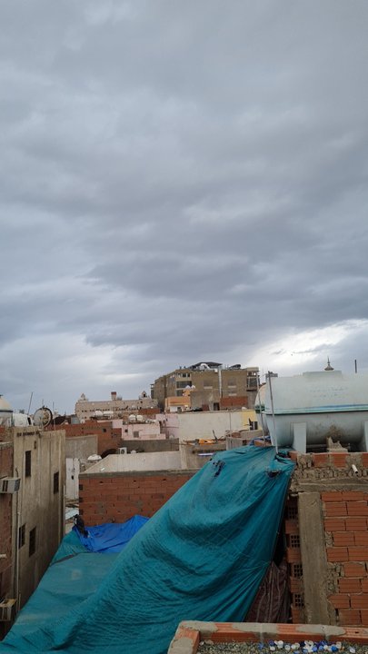 مشاركاتي في أنت الراصد