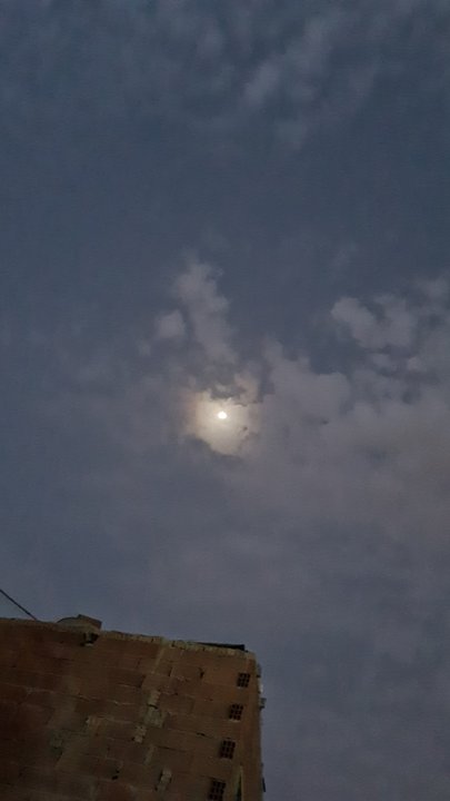 مشاركاتي في أنت الراصد