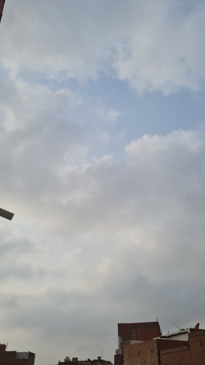 مشاركاتي في أنت الراصد