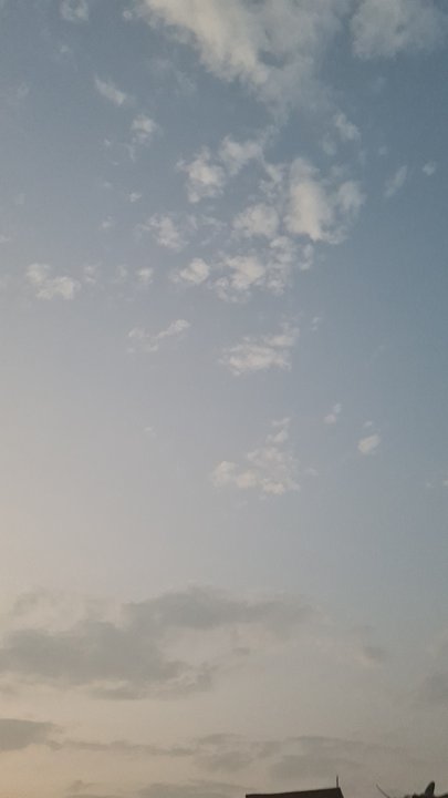 مشاركاتي في أنت الراصد