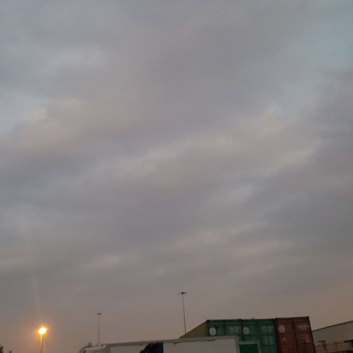 مشاركاتي في أنت الراصد