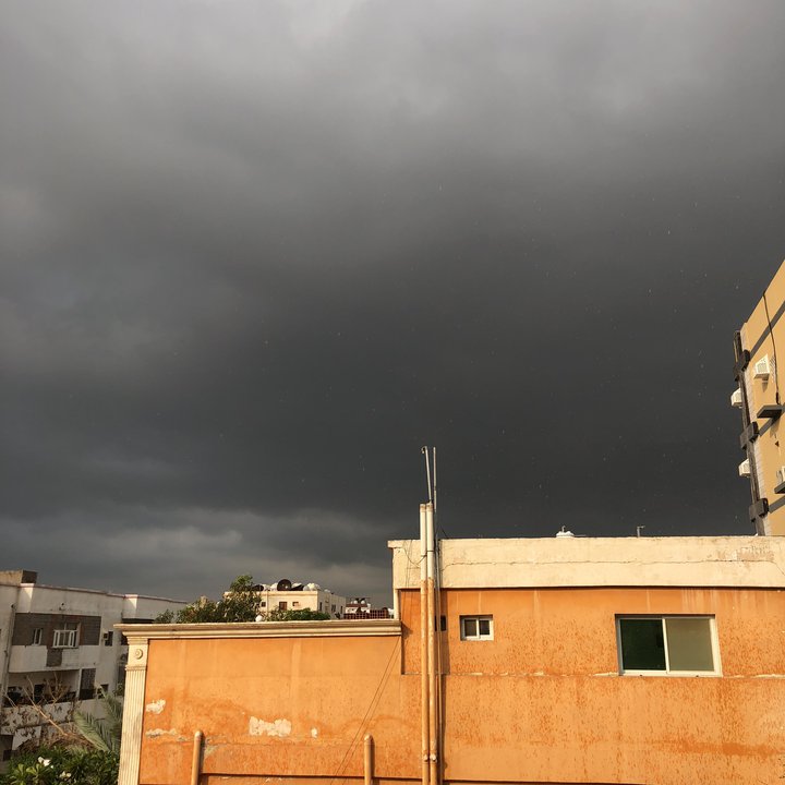 مشاركاتي في أنت الراصد