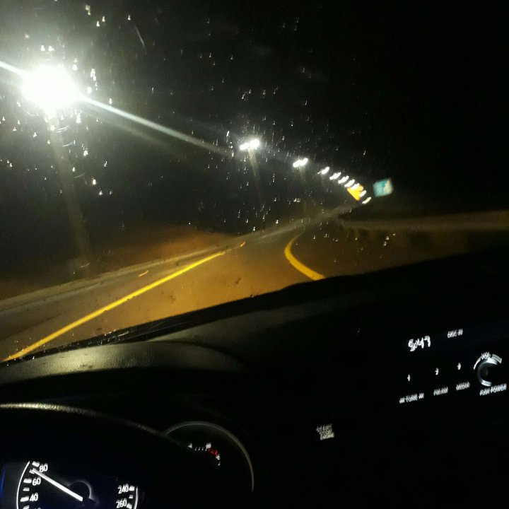 مشاركاتي في أنت الراصد