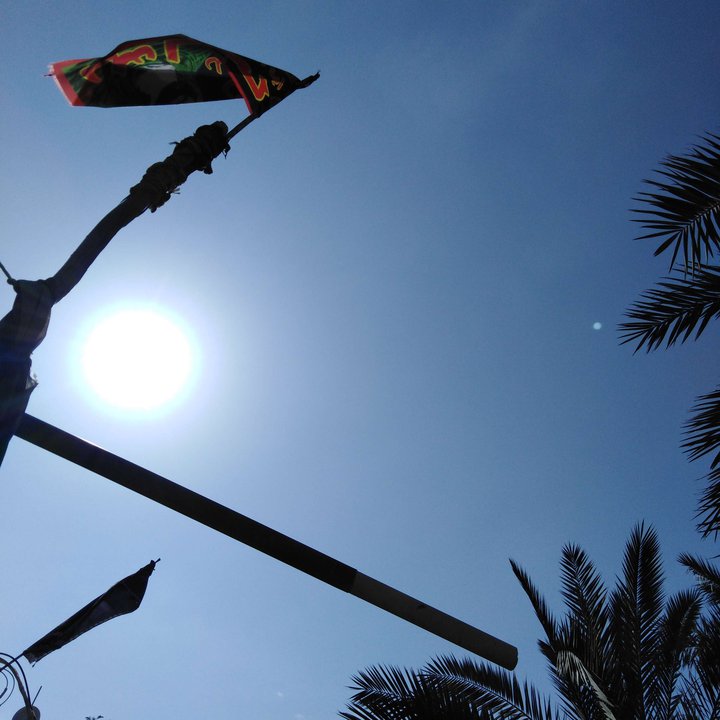 مشاركاتي في أنت الراصد