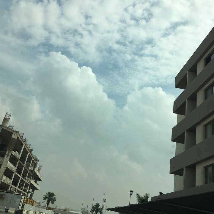 مشاركاتي في أنت الراصد