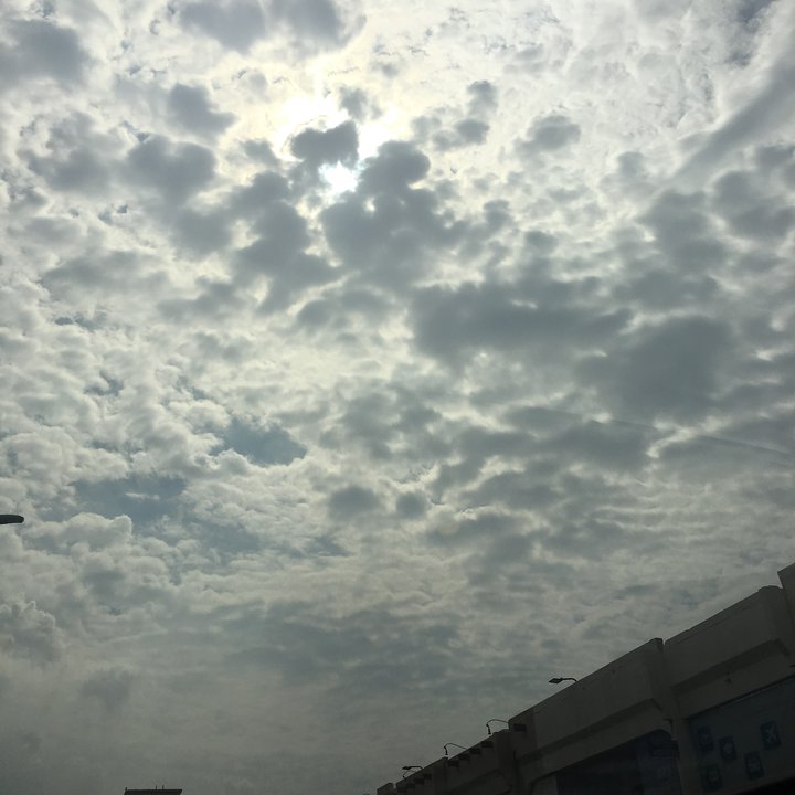 مشاركاتي في أنت الراصد