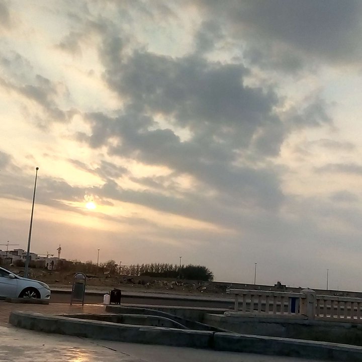 مشاركاتي في أنت الراصد