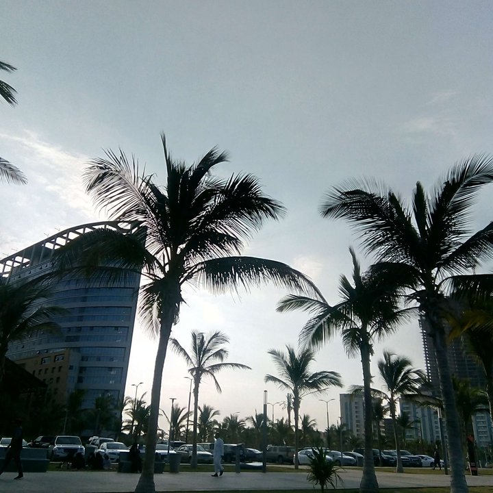 مشاركاتي في أنت الراصد