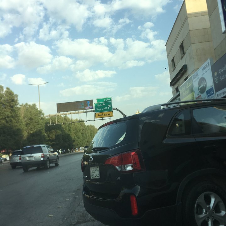 مشاركاتي في أنت الراصد