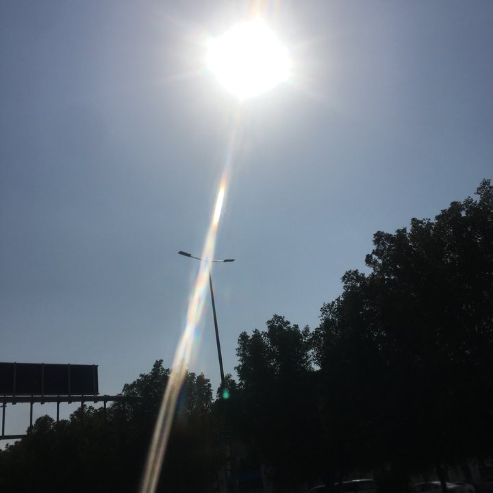 مشاركاتي في أنت الراصد