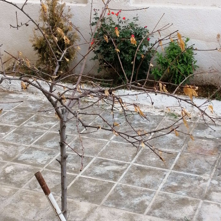 My Crowdsourcing Posts