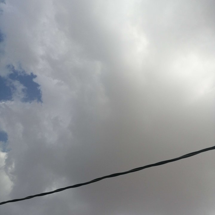 مشاركاتي في أنت الراصد