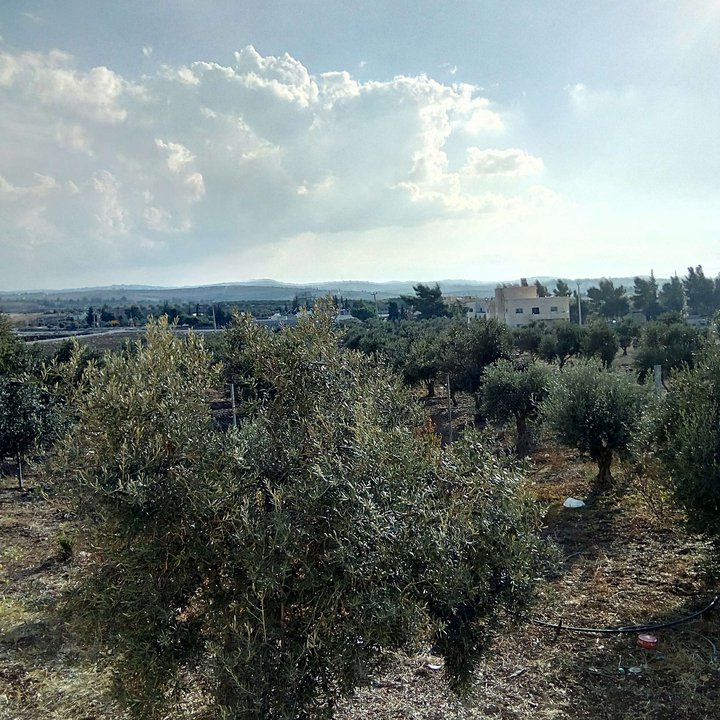 My Crowdsourcing Posts