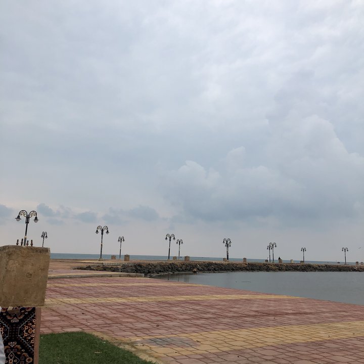 مشاركاتي في أنت الراصد