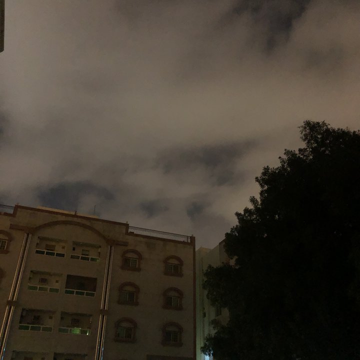 مشاركاتي في أنت الراصد