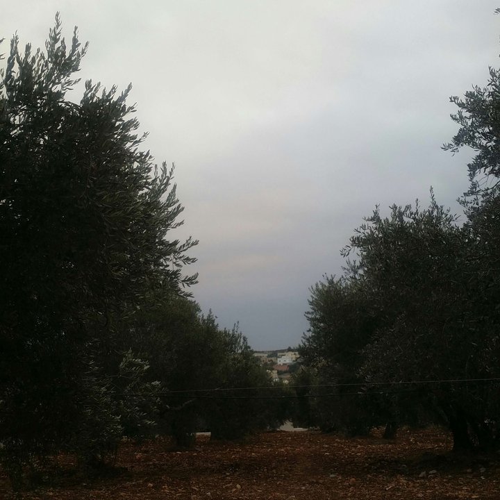 My Crowdsourcing Posts