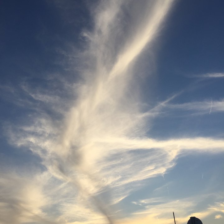 مشاركاتي في أنت الراصد