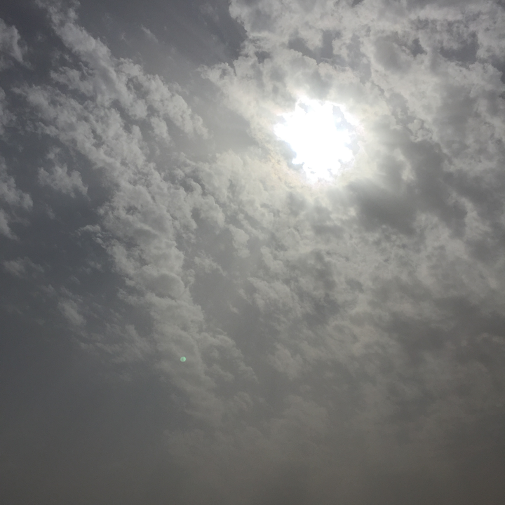 مشاركاتي في أنت الراصد