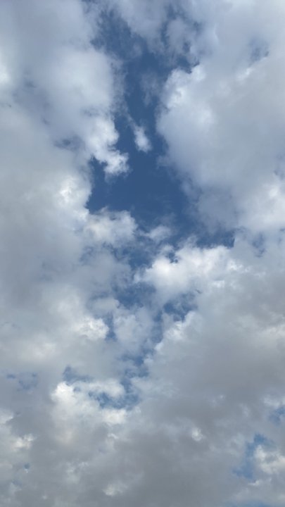 Mes publications Crowdsourcing