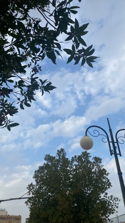 Mes publications Crowdsourcing