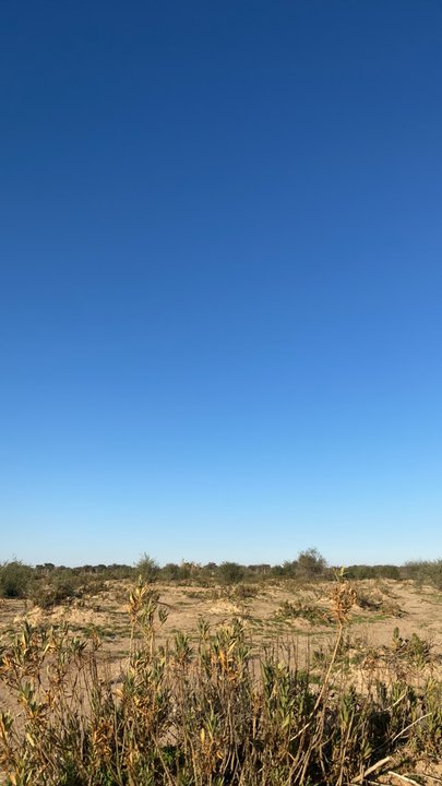 Mes publications Crowdsourcing