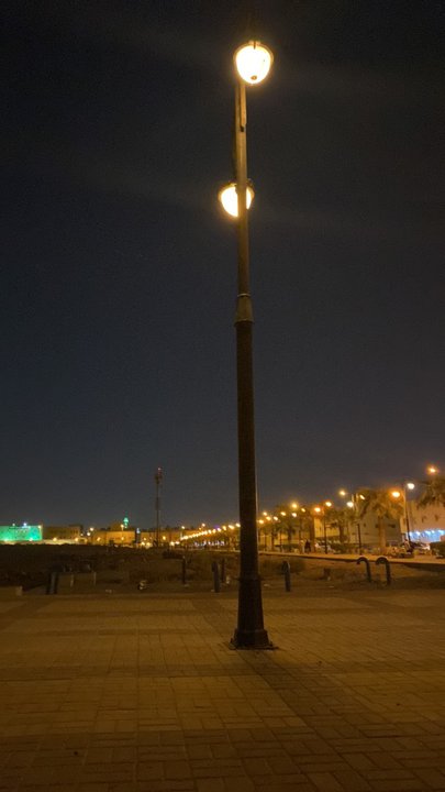 Mes publications Crowdsourcing