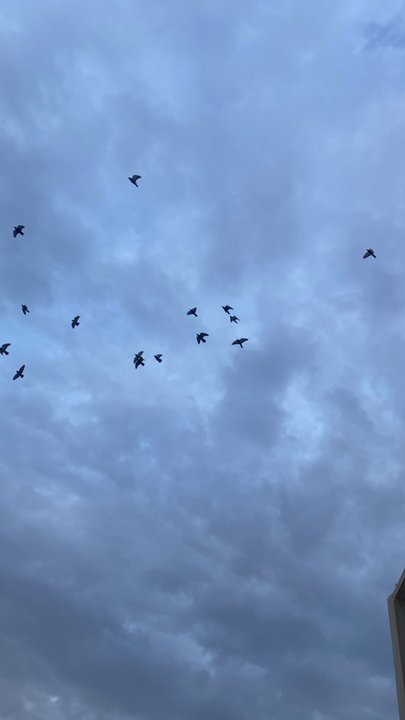 My Crowdsourcing Posts