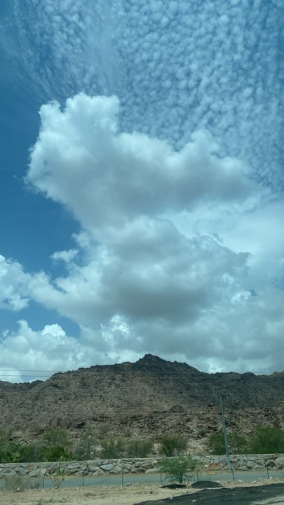 Mes publications Crowdsourcing