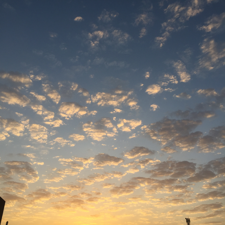 مشاركاتي في أنت الراصد