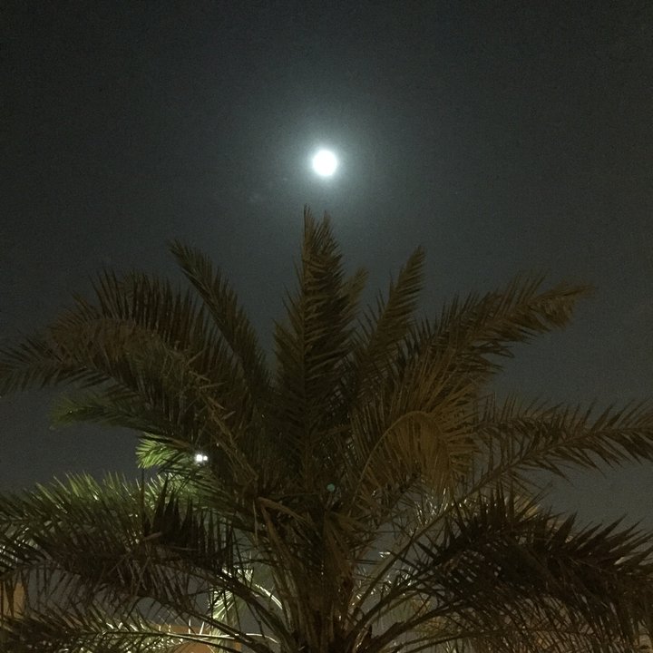 My Crowdsourcing Posts