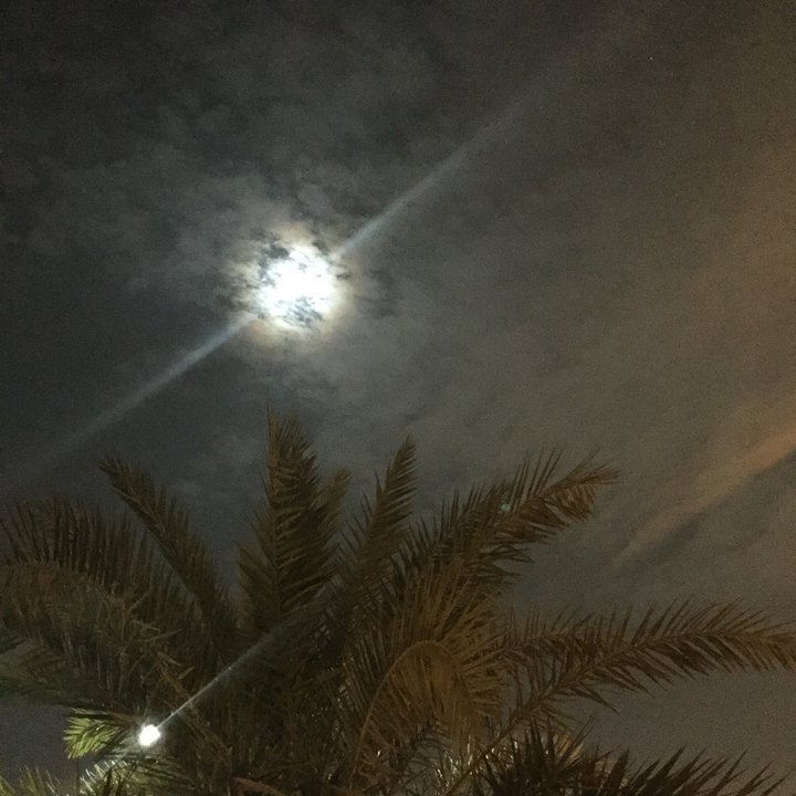 My Crowdsourcing Posts