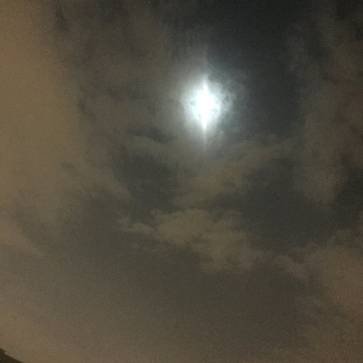 مشاركاتي في أنت الراصد