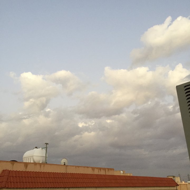 مشاركاتي في أنت الراصد