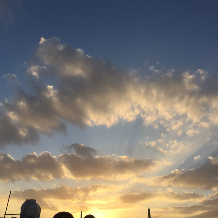 مشاركاتي في أنت الراصد