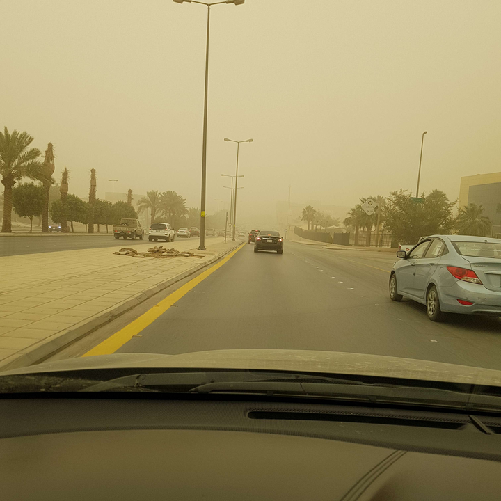 مشاركاتي في أنت الراصد