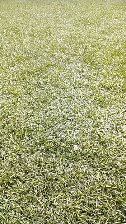 My Crowdsourcing Posts