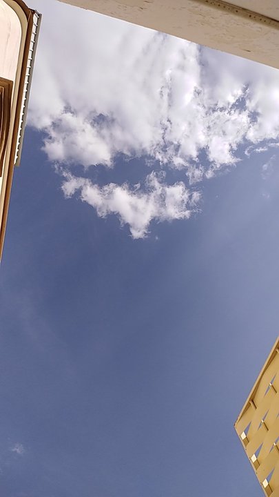 مشاركاتي في أنت الراصد