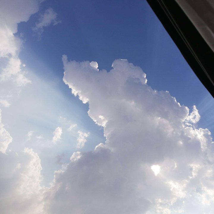 مشاركاتي في أنت الراصد