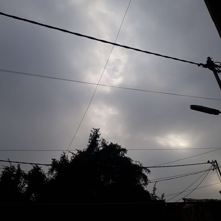 مشاركاتي في أنت الراصد