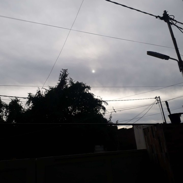 مشاركاتي في أنت الراصد