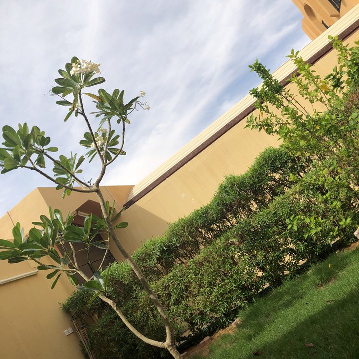 My Crowdsourcing Posts