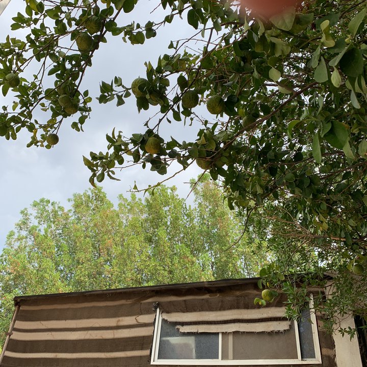 My Crowdsourcing Posts